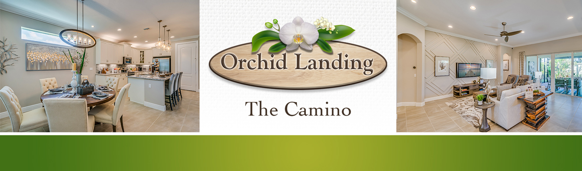 Orchid Landing